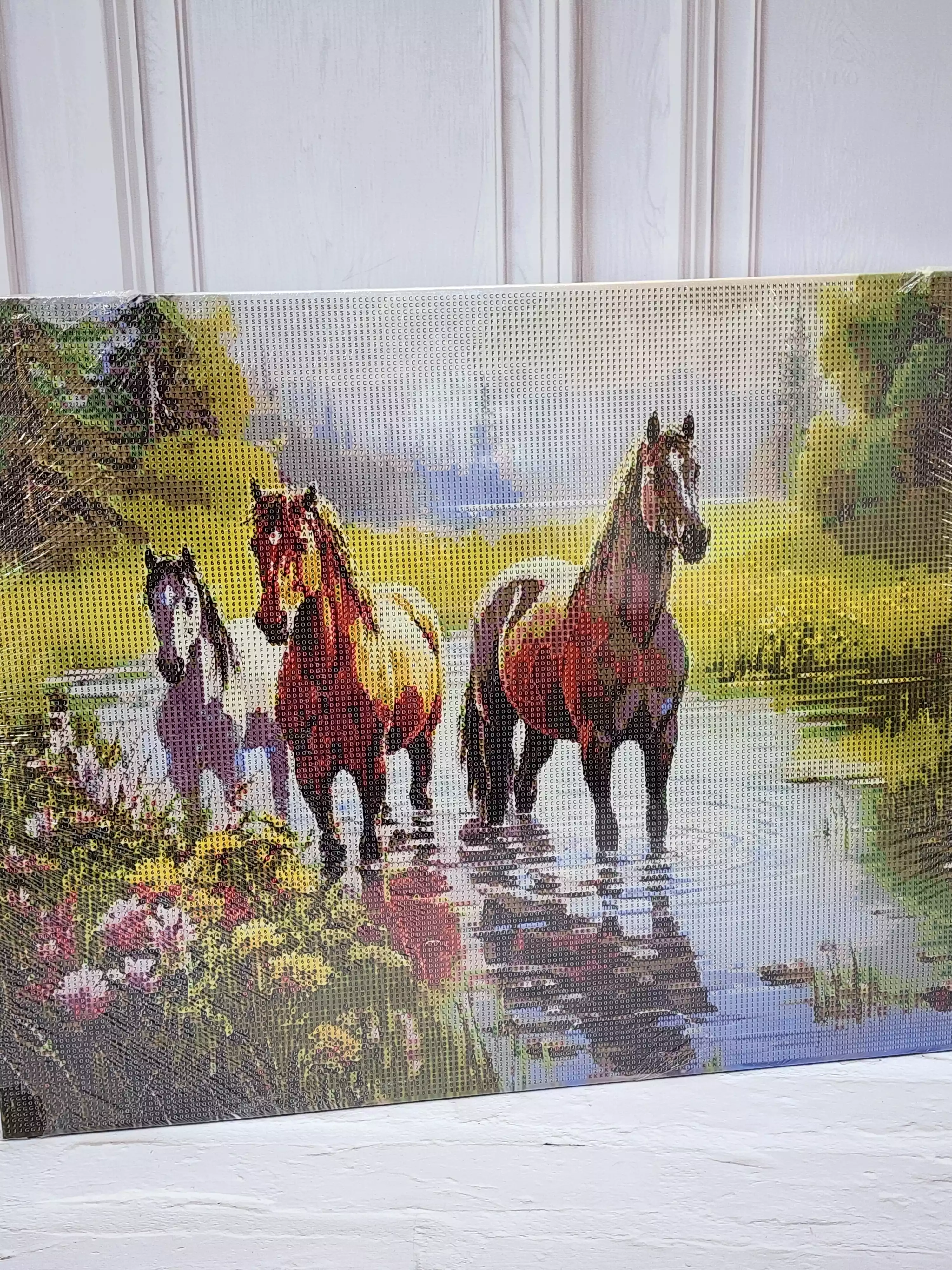 نقاشی الماسه تابلویی -سایز 40*50